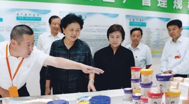 原中共中央政治局委員、國務(wù)院副總理劉延?xùn)|視察我公司
